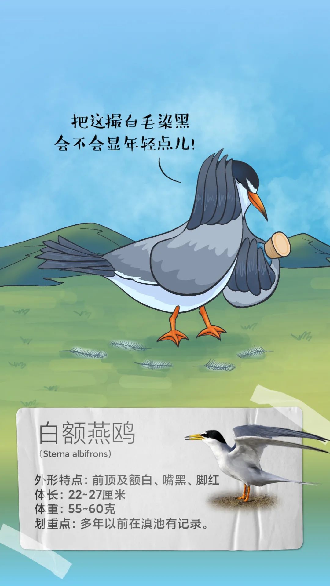 昆明发布