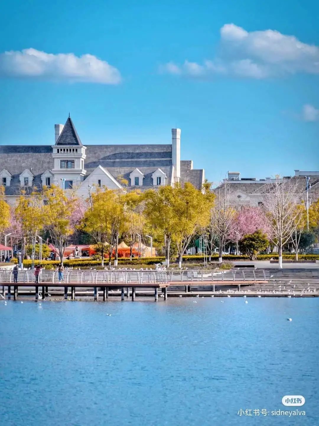 昆明滇池国家旅游度假区管理委员会(微信)