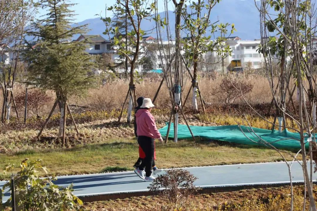 丽江日报