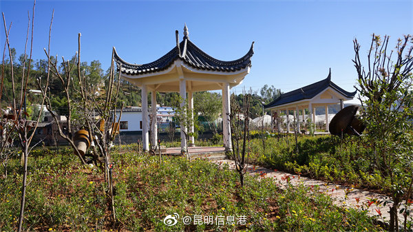昆明信息港