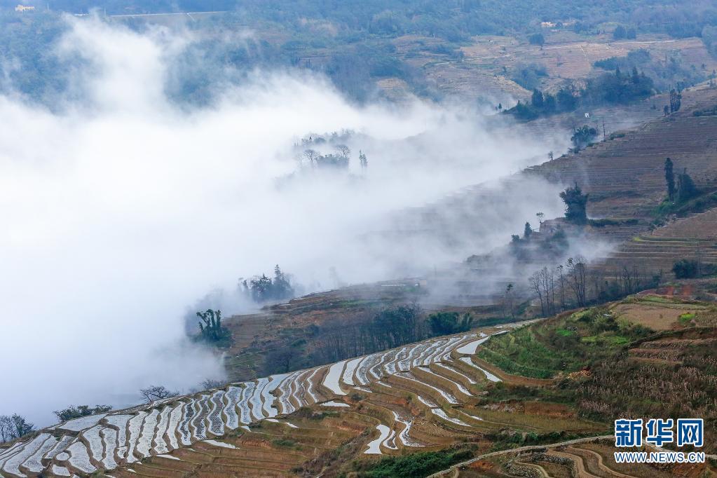 云南省文化和旅游厅