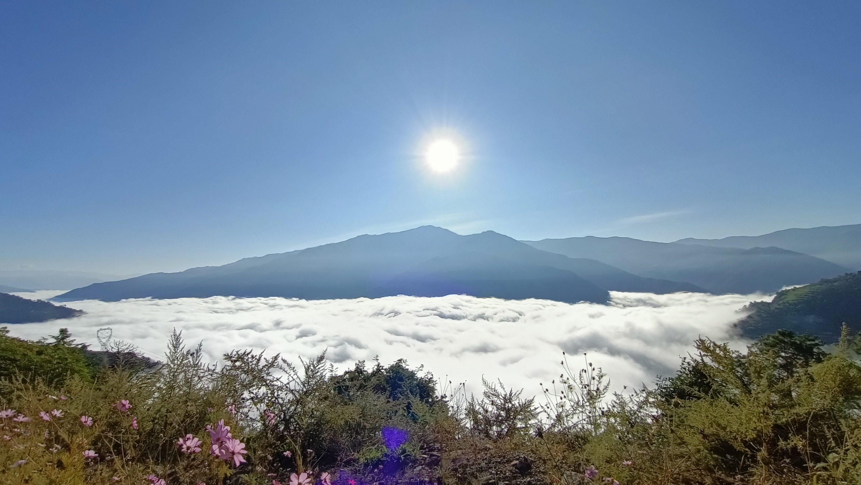 云南省文化和旅游厅