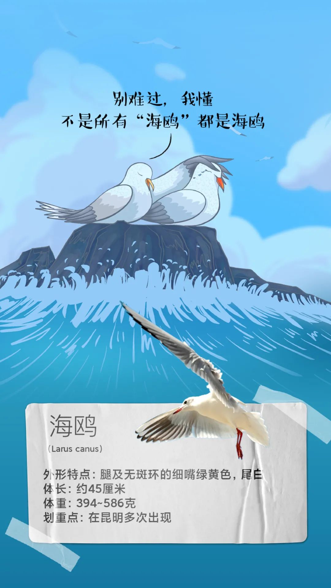 昆明发布