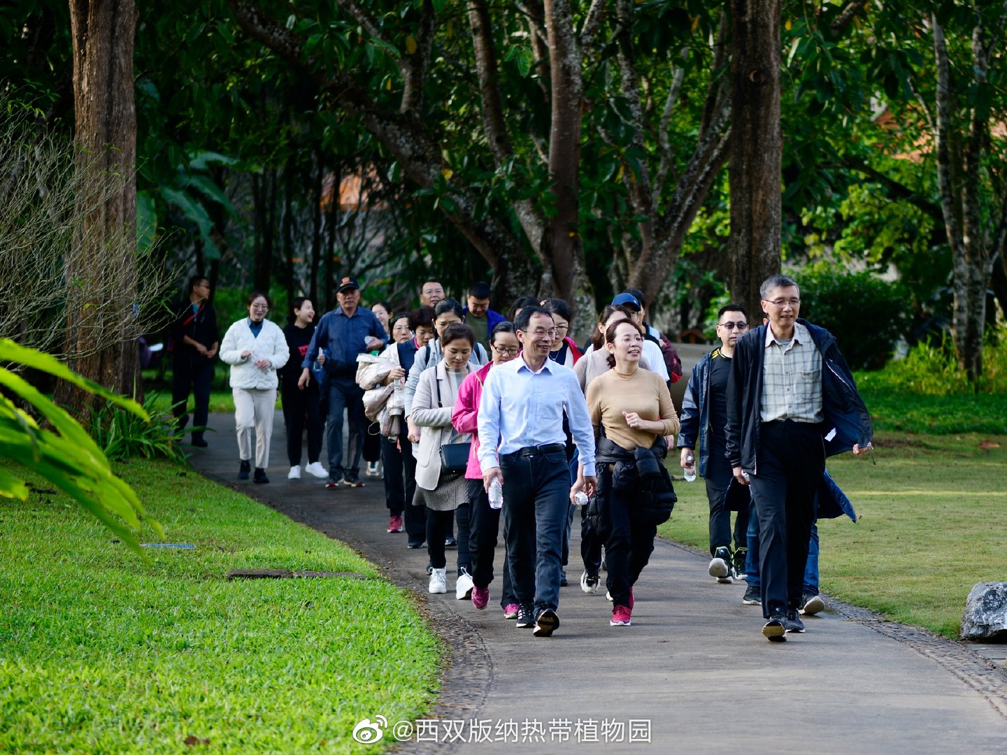 西双版纳热带植物园微博