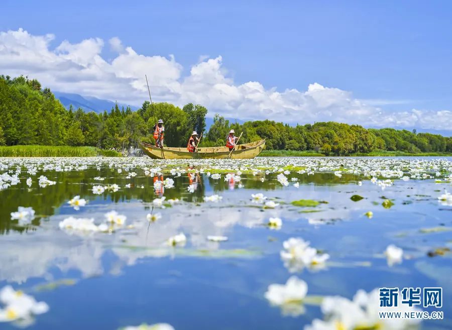 昆明信息港/cnkmxxg