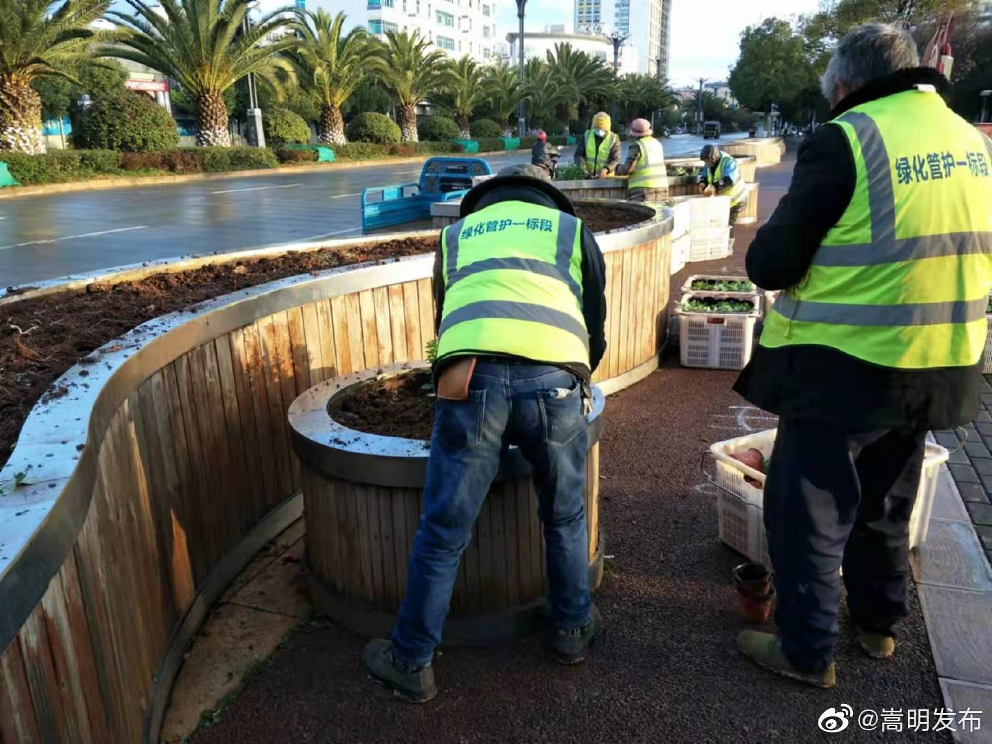 嵩明发布