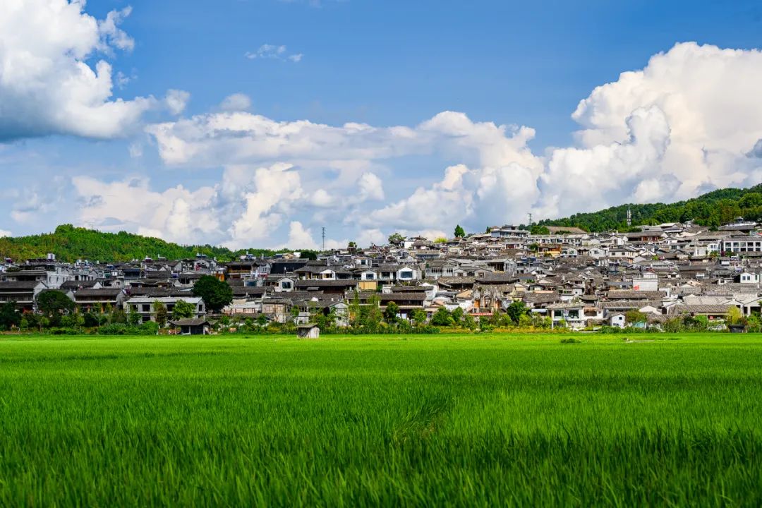 保山新闻网