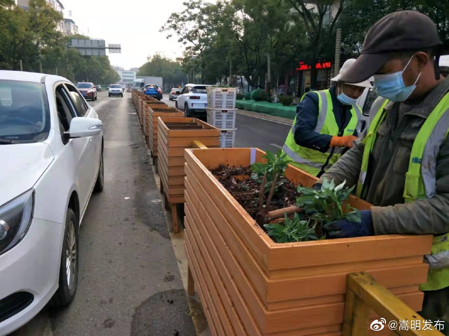 嵩明发布