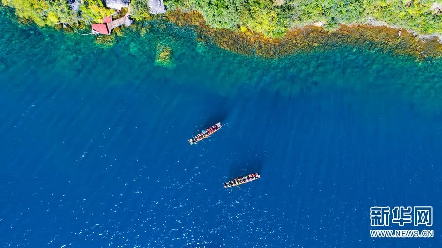 昆明信息港/cnkmxxg