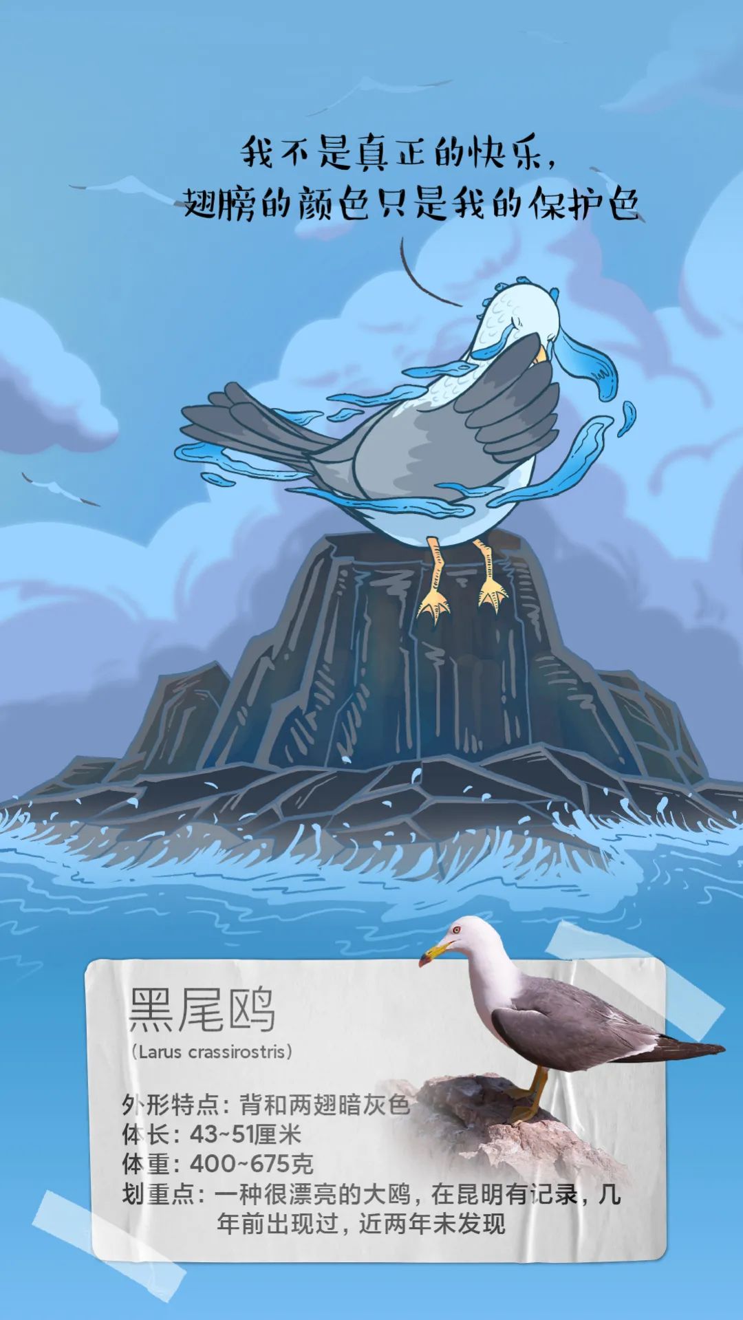 昆明发布