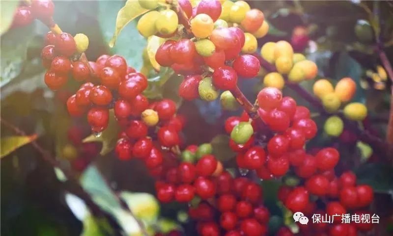 保山广播电视台