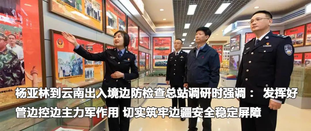 云南政法