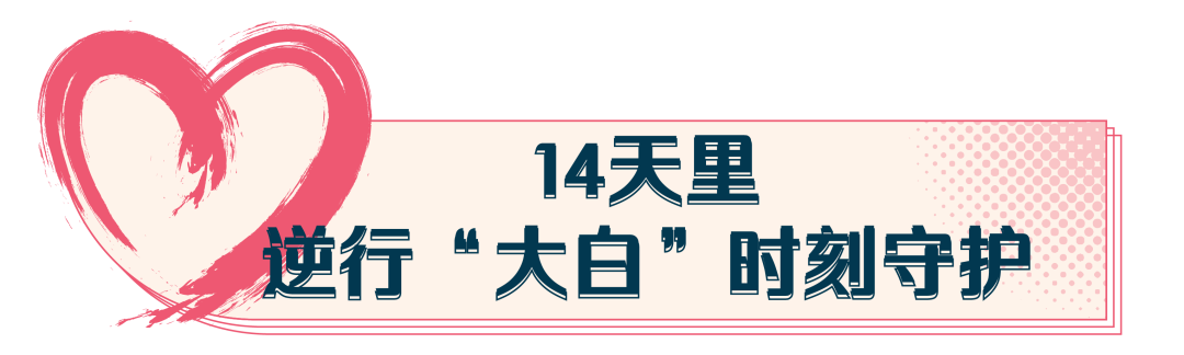 掌上春城微信公众号