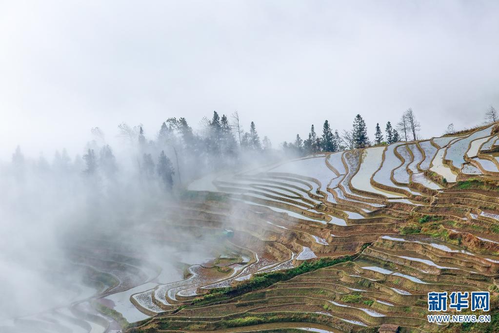 云南省文化和旅游厅