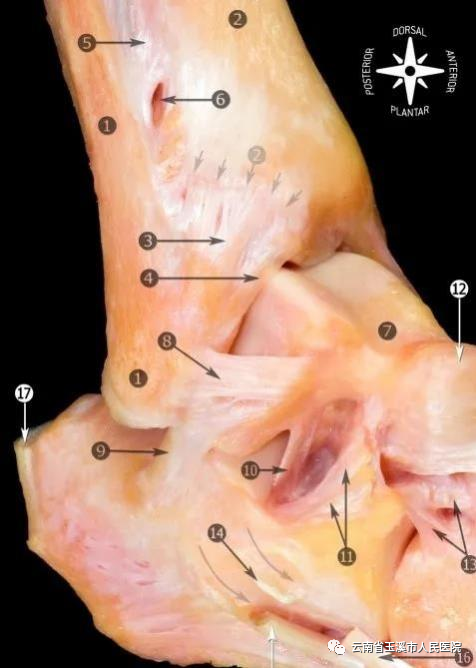 云南省玉溪市人民医院