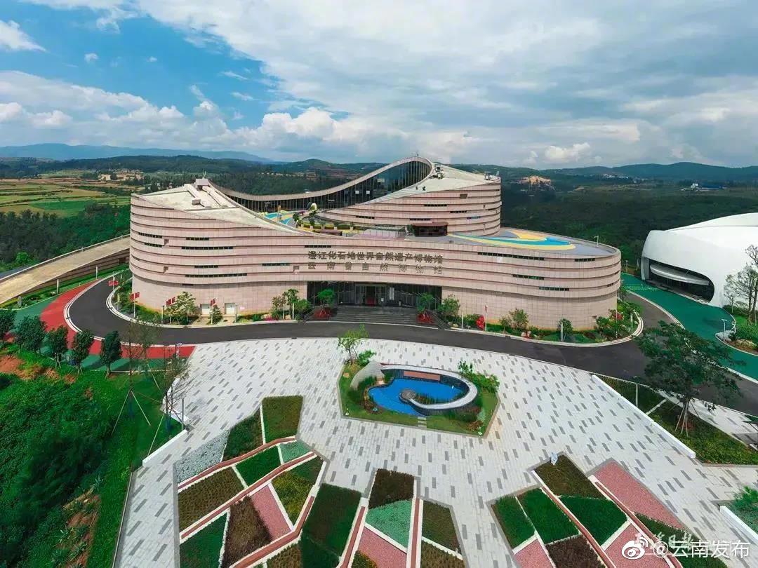 云南这个博物馆项目入选！“2020年度全国地质古生物科普十大进展”发布