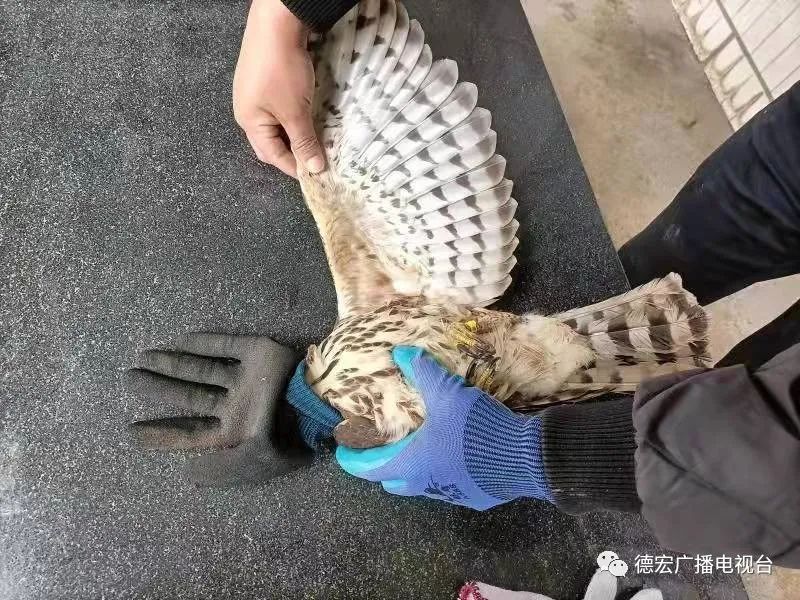 德宏广播电视台