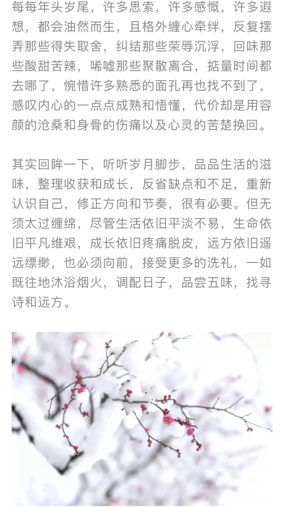 红色扎西
