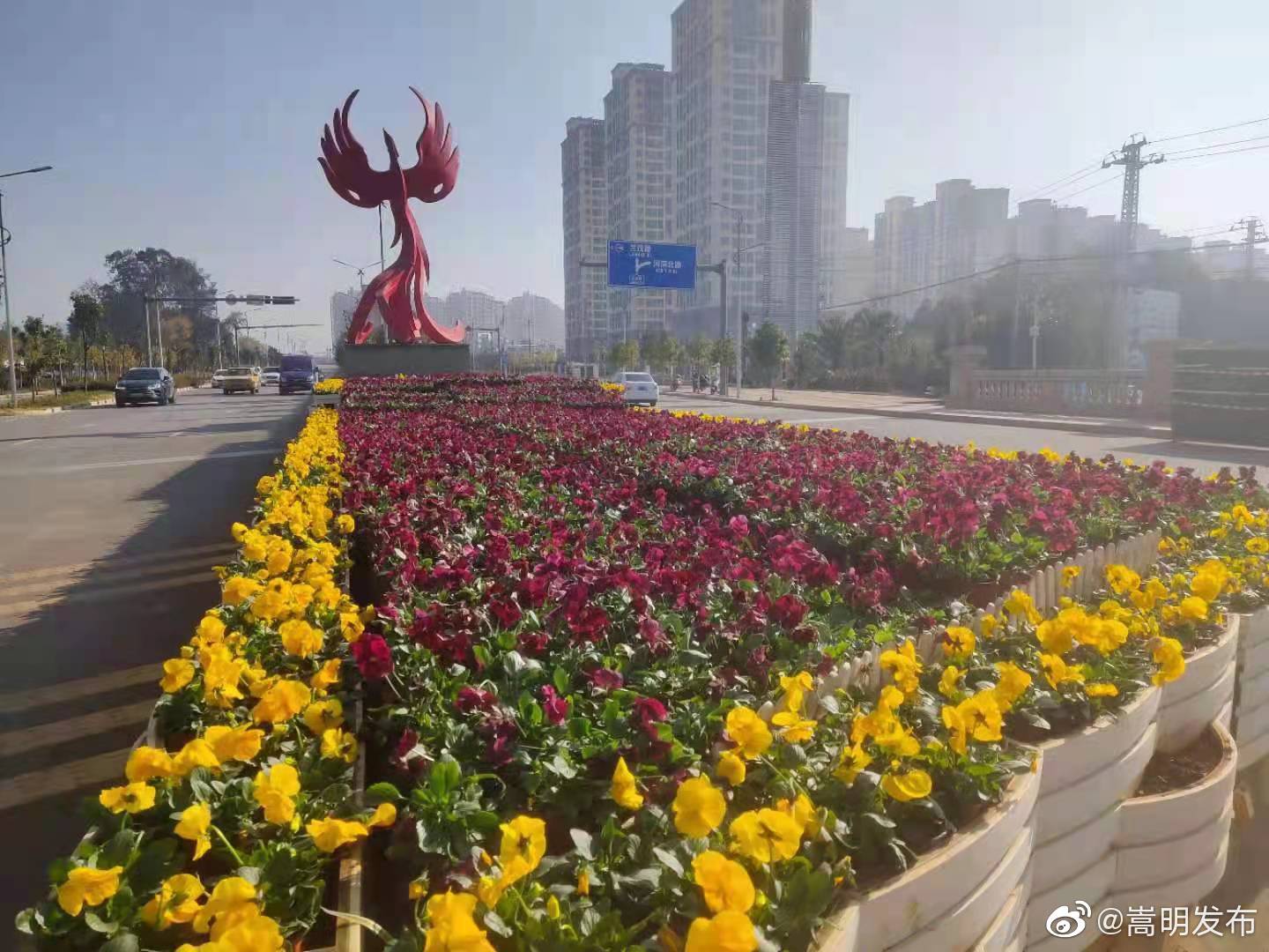 嵩明发布