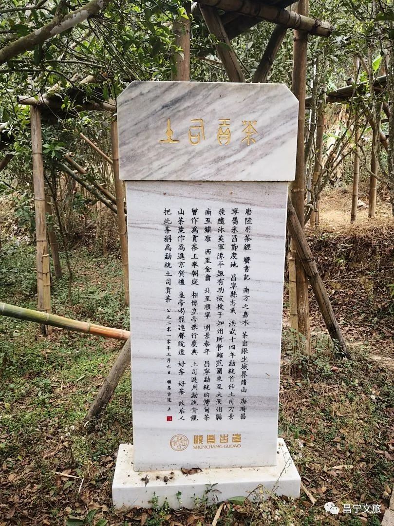 保山新闻网