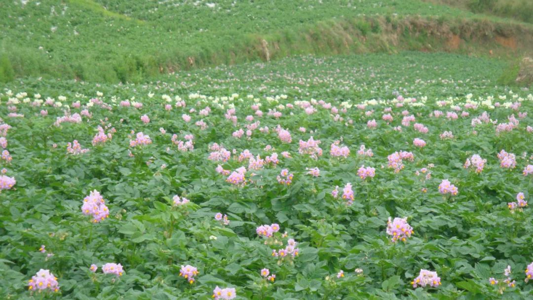 东川发布(微信)