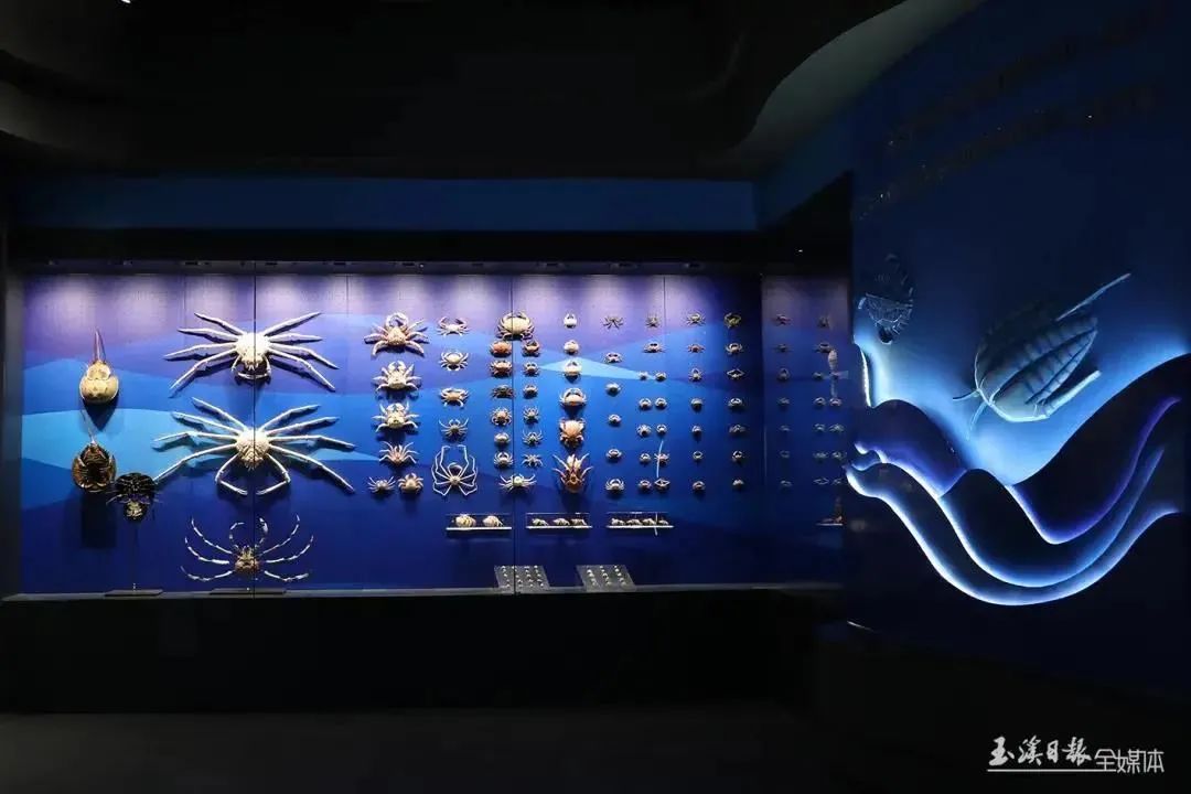 美丽云南微科普