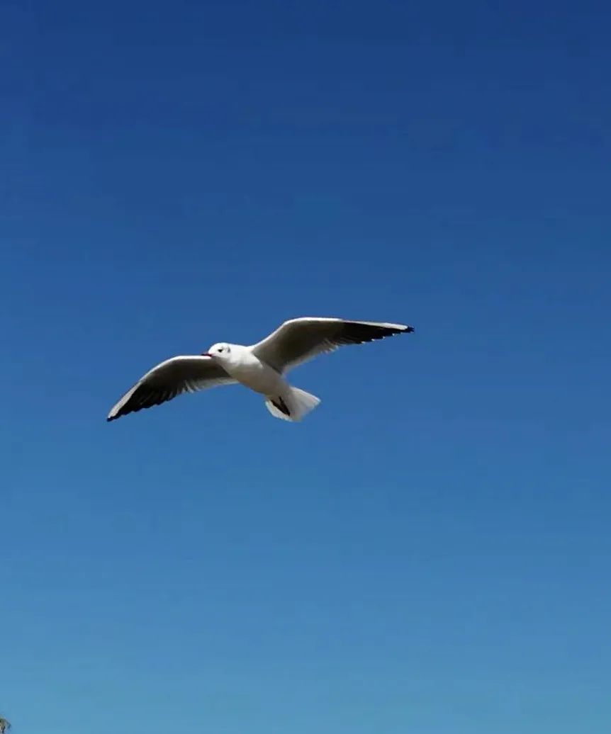 918云南交通台(微信)