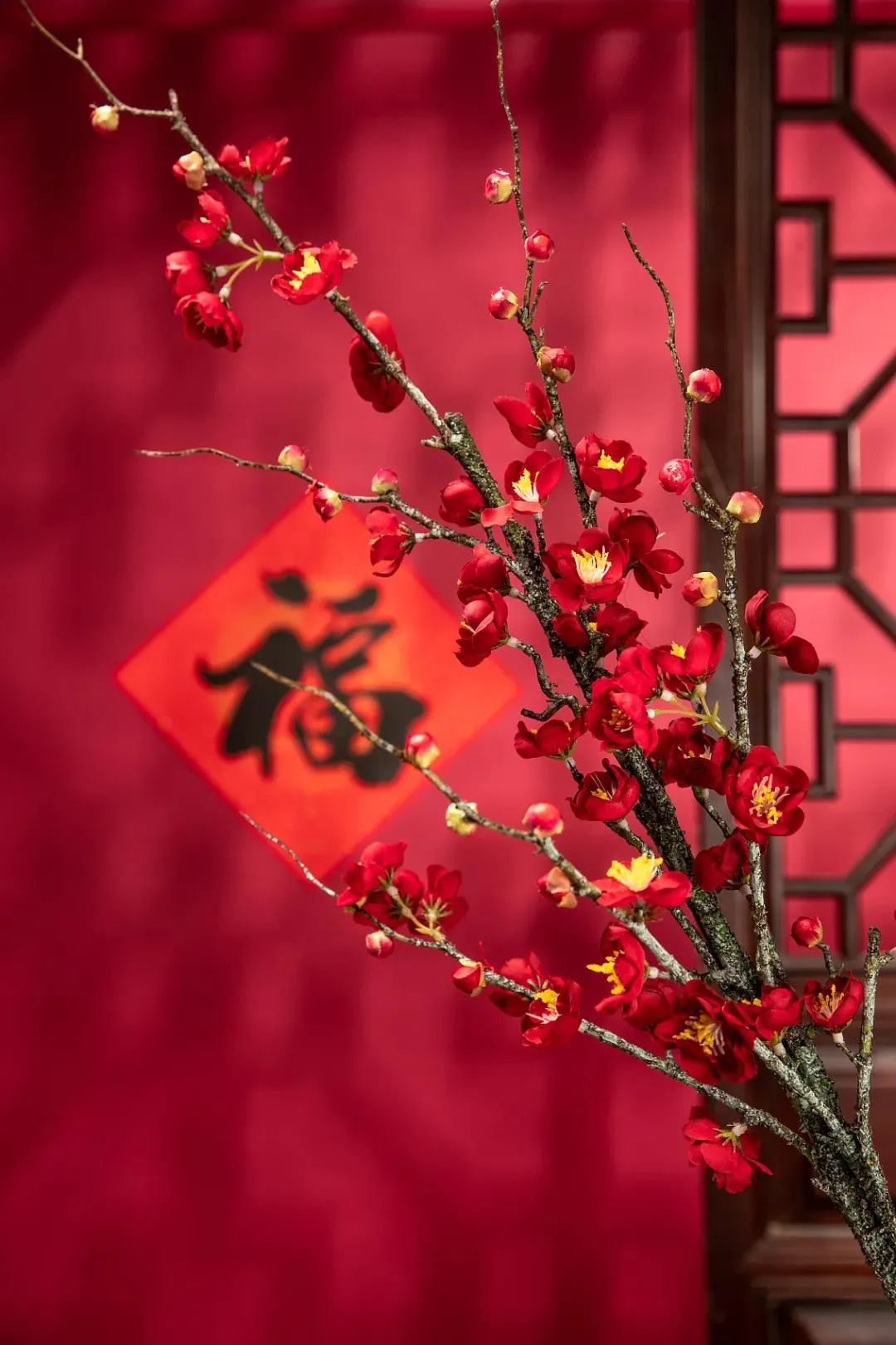 美丽云南微科普