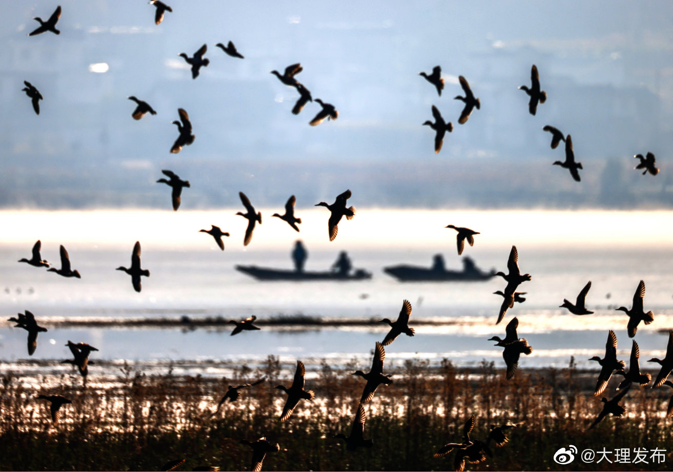 “大理发布”微博