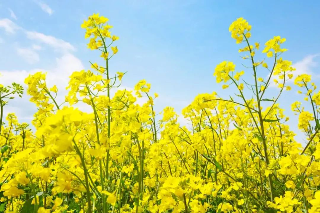 昆明市延安医院