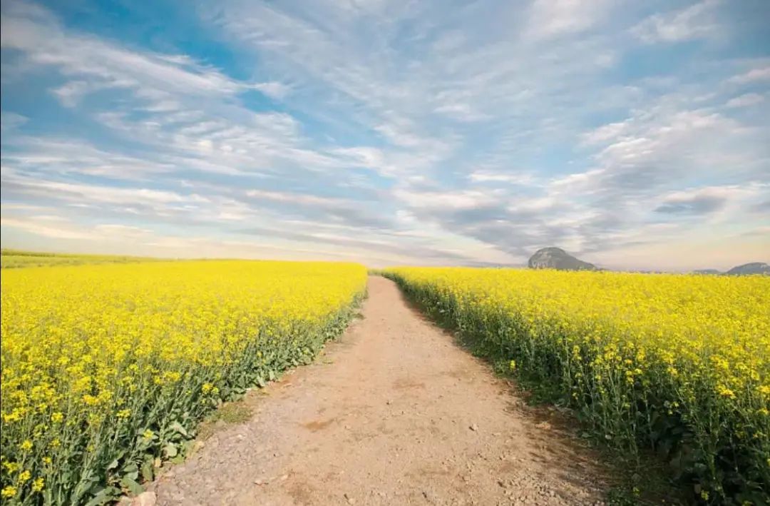 昆明市延安医院