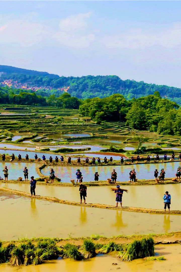 红河文旅