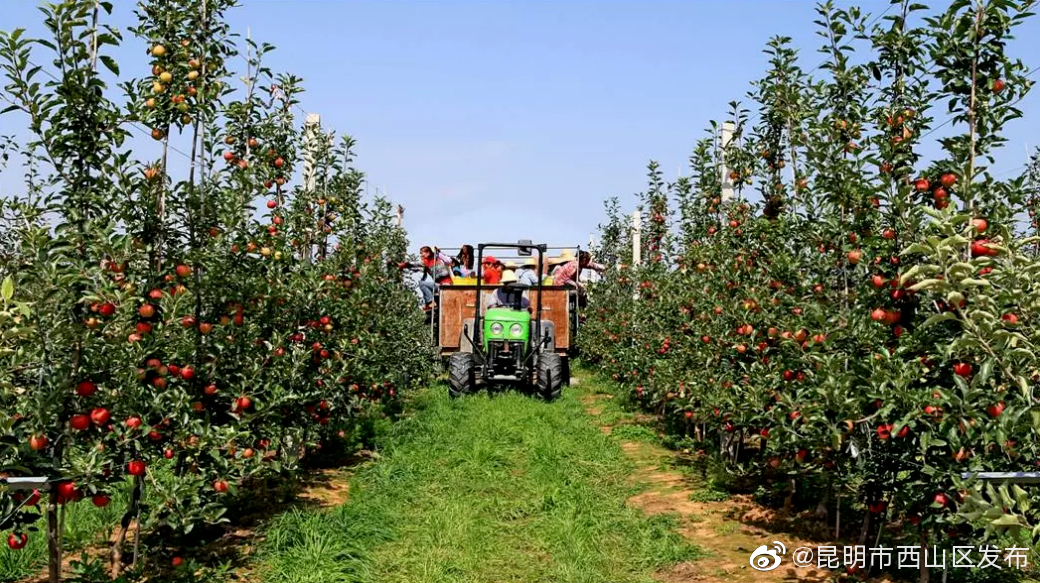 “昆明市西山区发布”微博