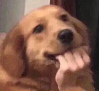 昆明信息港/cnkmxxg