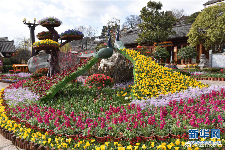 “云南发布”微博