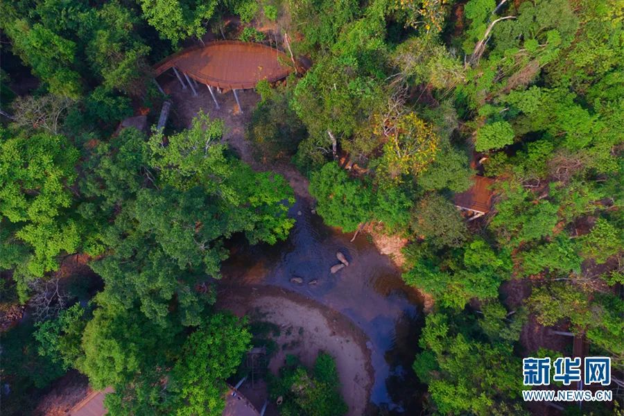 昆明信息港/cnkmxxg