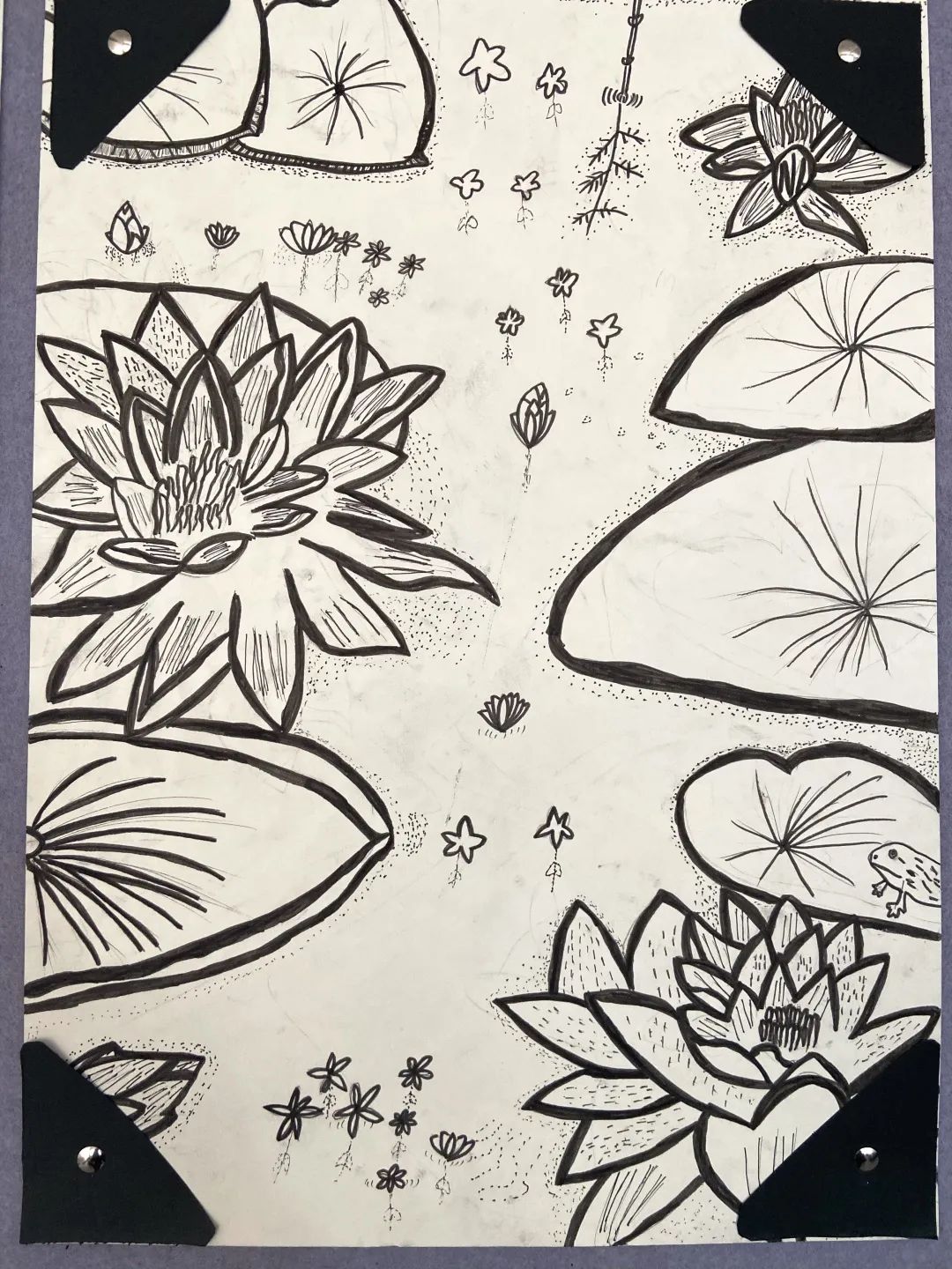 盘龙教育(微信)