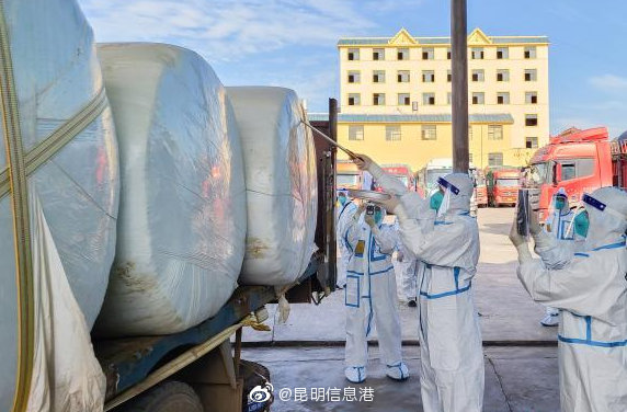 昆明海关保障首批缅甸青贮玉米顺利进口