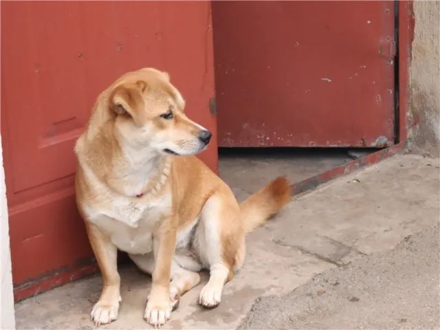 红河文旅