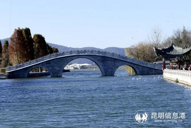 昆明信息港/cnkmxxg