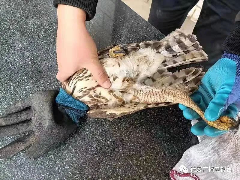 德宏广播电视台