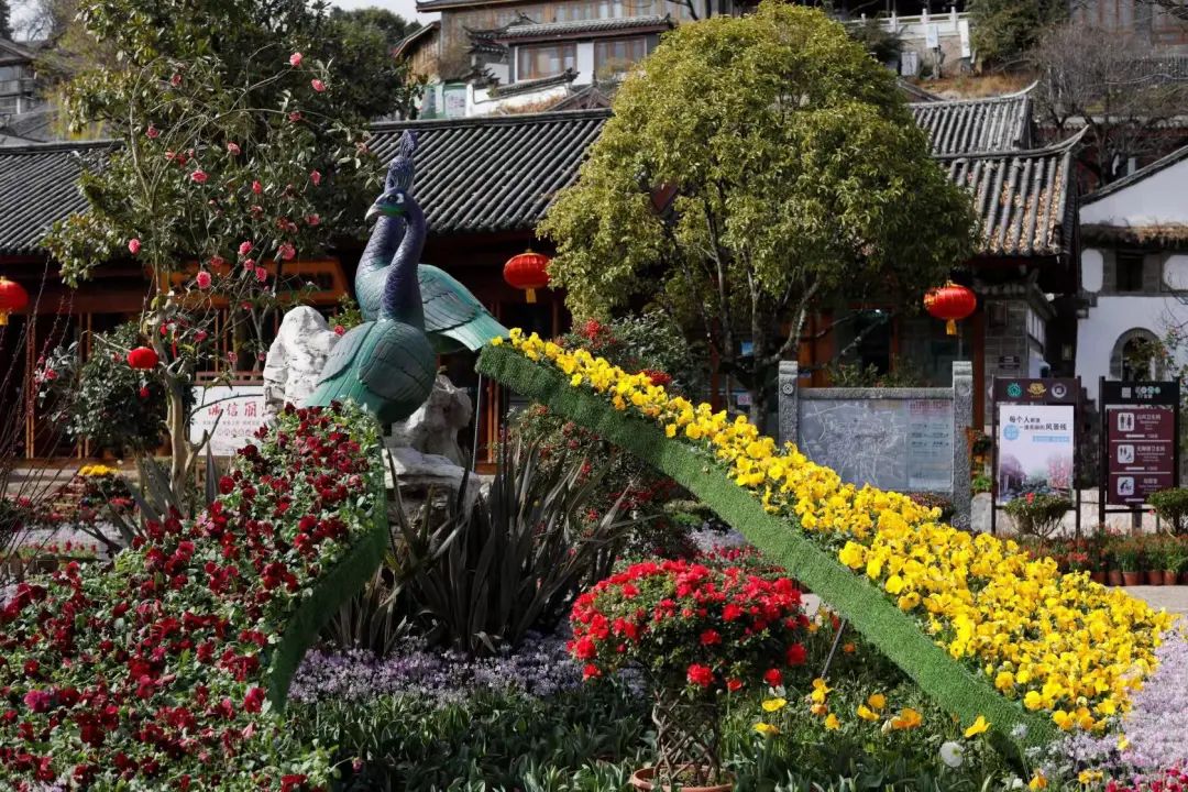 丽江日报