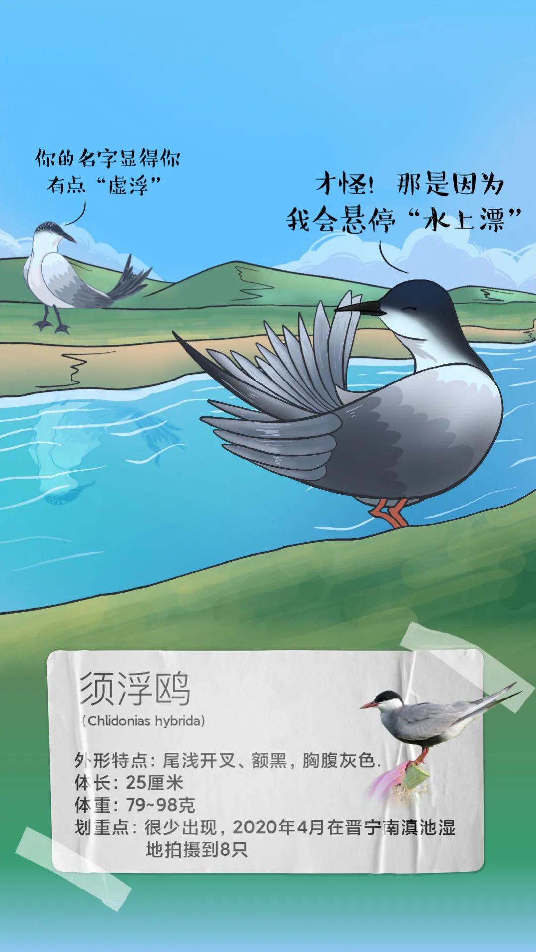 昆明发布