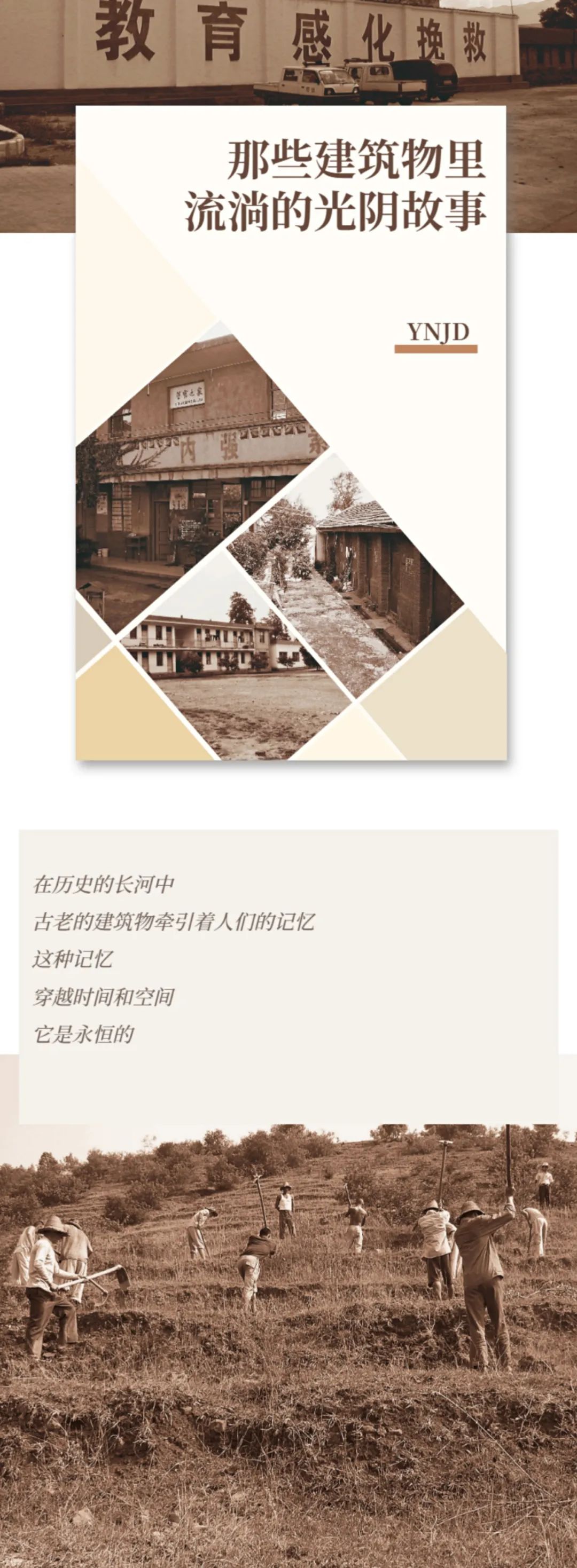 云南政法
