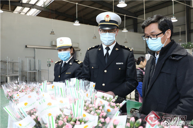 2021年云南鲜切花出口额5.2亿元 位居全国第一