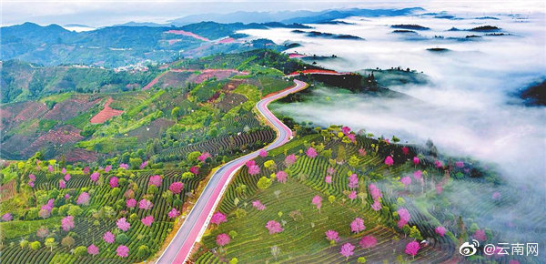 云南实现16个州（市）地理标志全覆盖