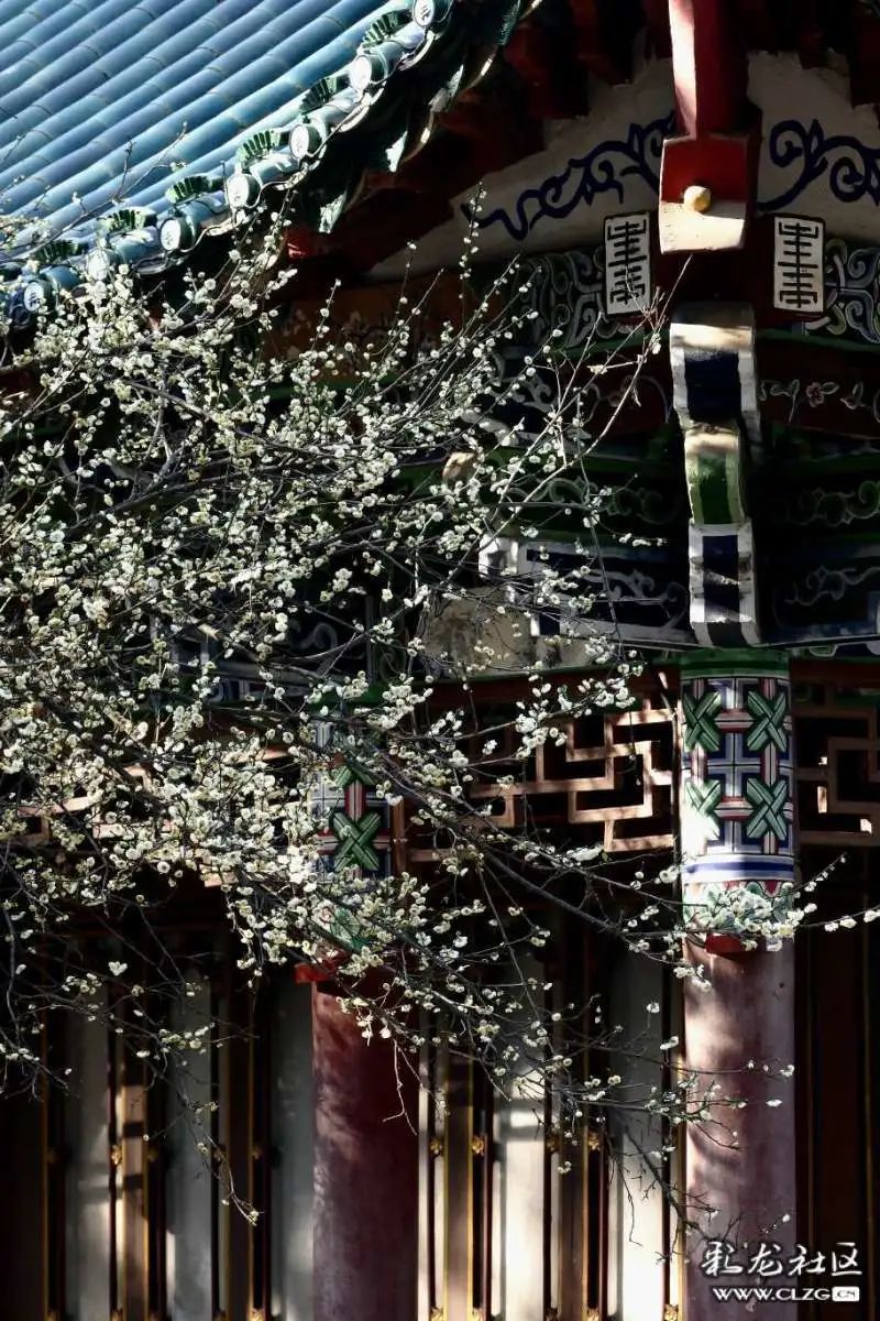 大观楼