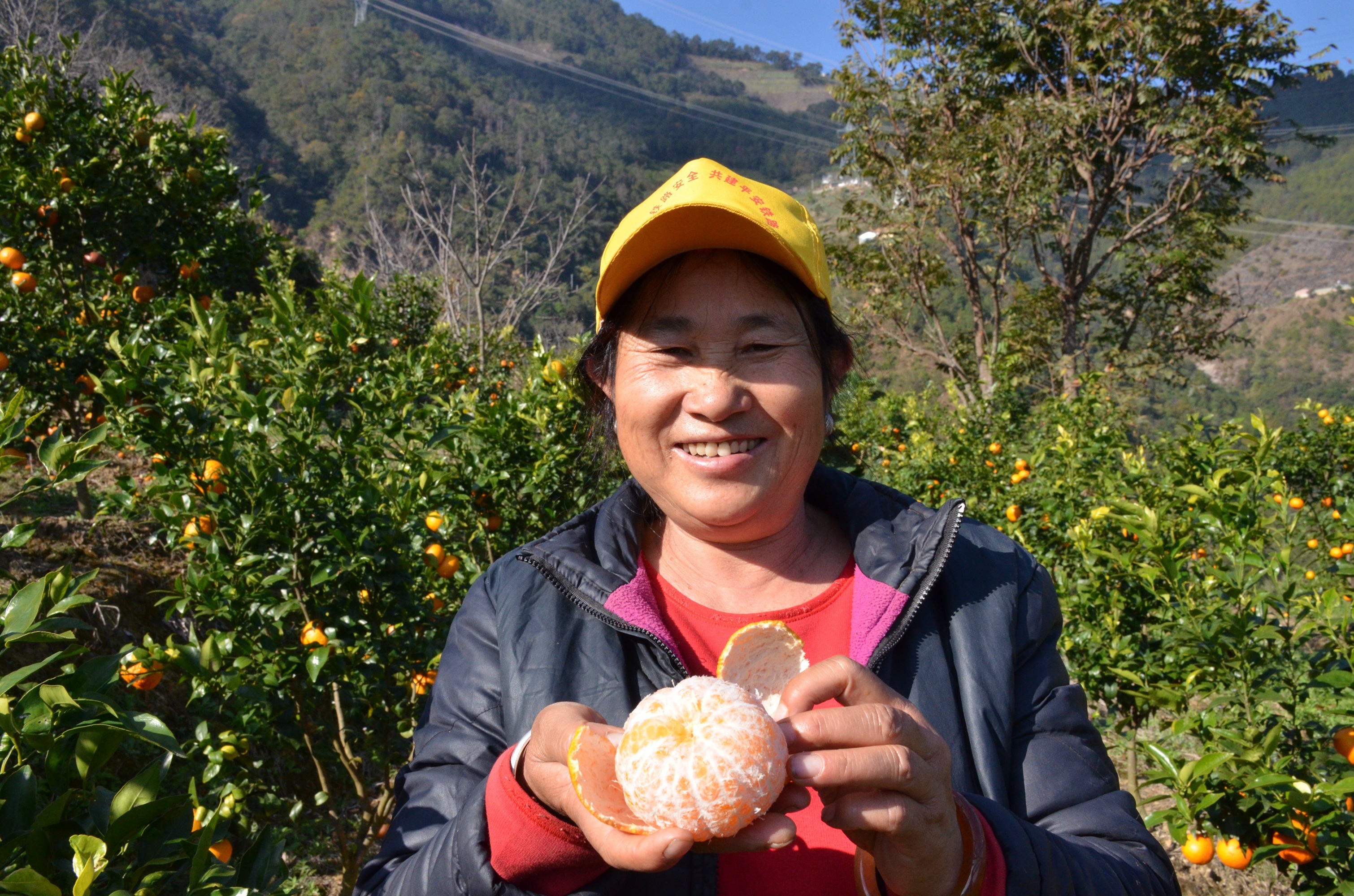 云南省文化和旅游厅