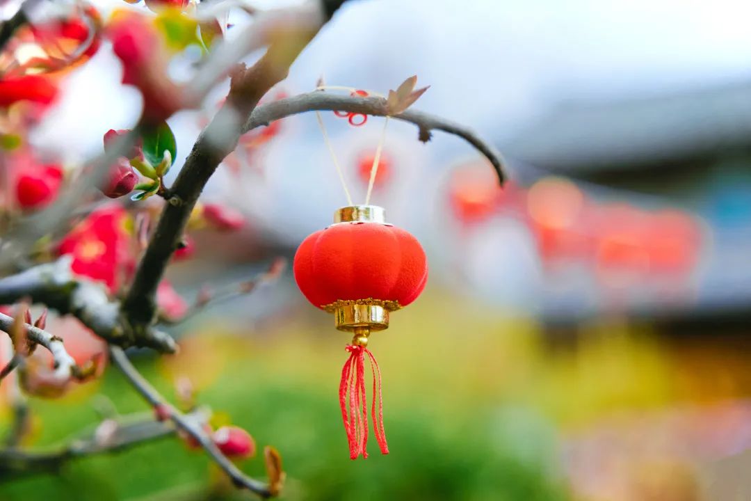 丽江日报