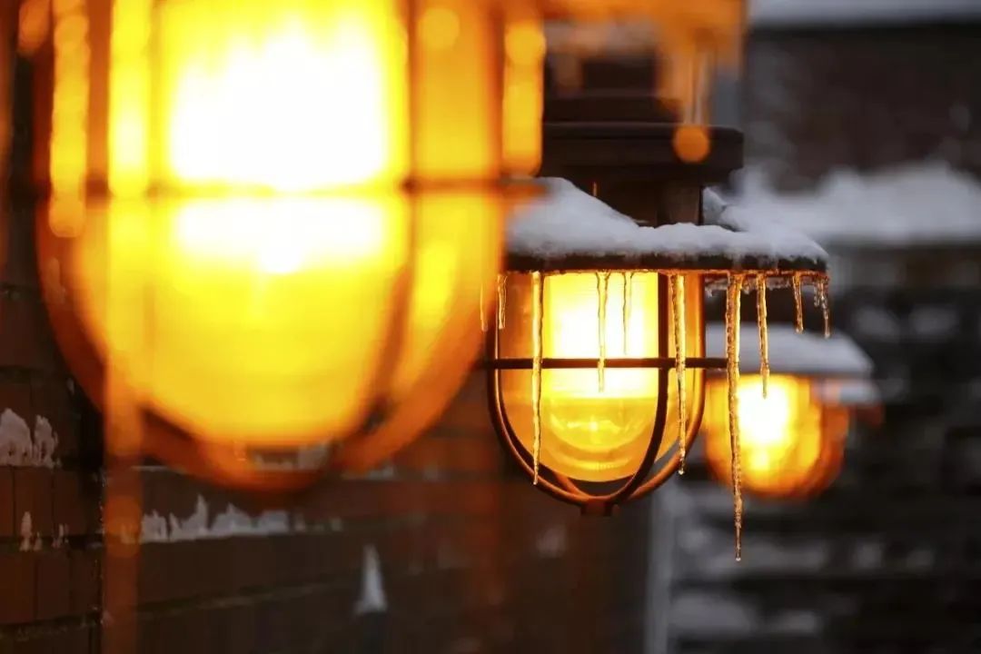 西双版纳望天树景区